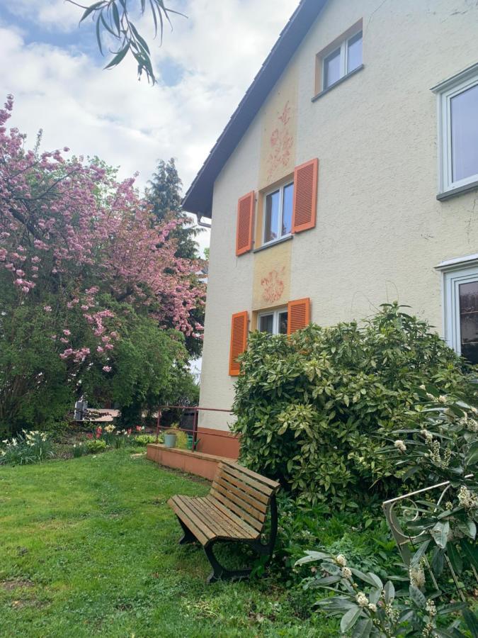 Apartament Blumenblick Rielasingen-Worblingen Exterior foto