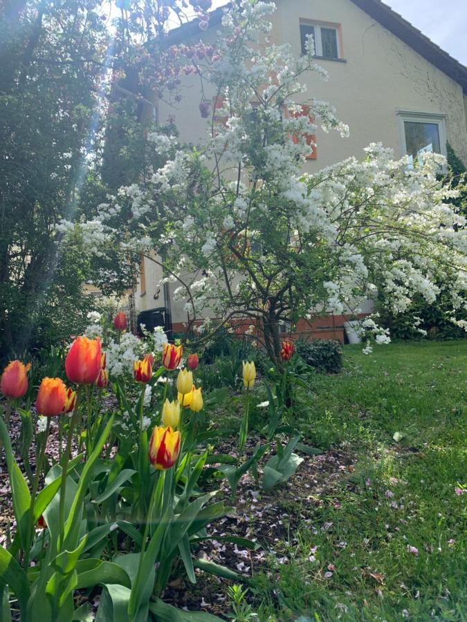Apartament Blumenblick Rielasingen-Worblingen Exterior foto
